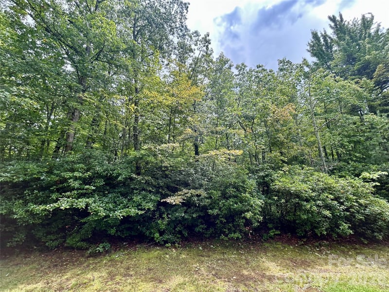Lot 40 Hawk Mountain Rd, Lake Toxaway, NC 28747