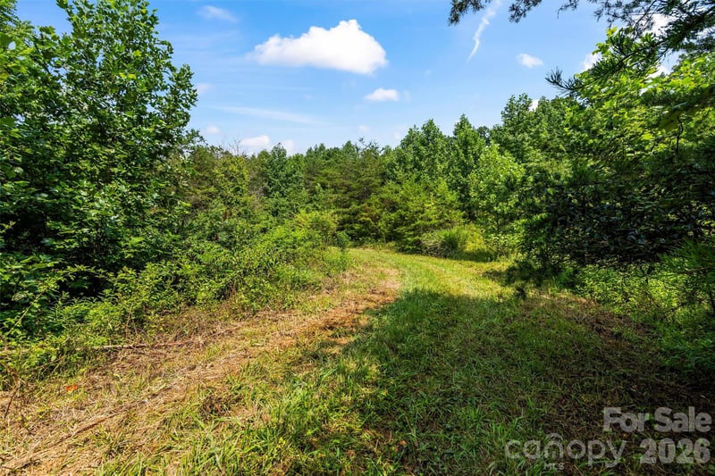 99999 Big Sandy Mush Rd, Leicester, NC 28748