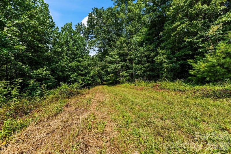 99999 Big Sandy Mush Rd, Leicester, NC 28748