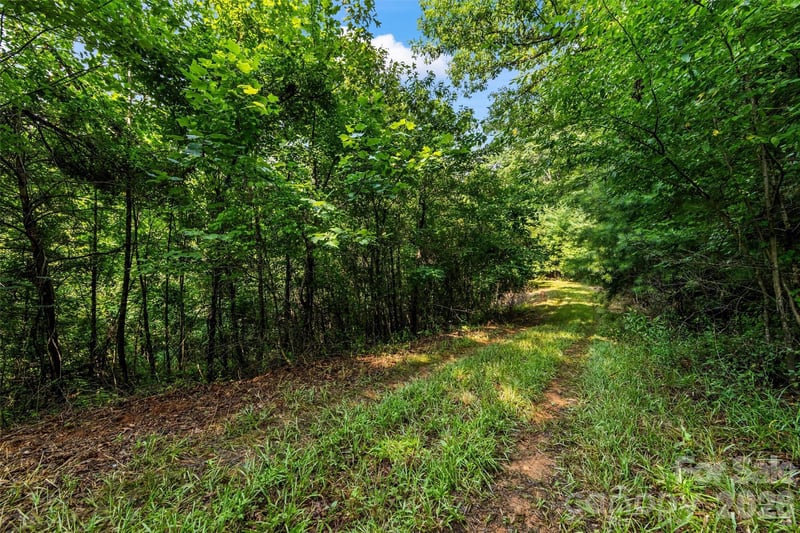 99999 Big Sandy Mush Rd, Leicester, NC 28748