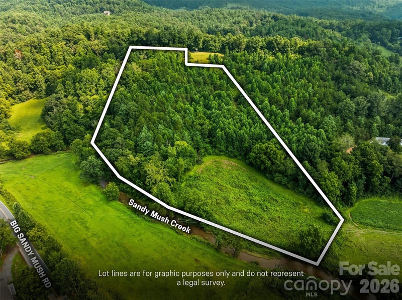 99999 Big Sandy Mush Rd, Leicester, NC 28748
