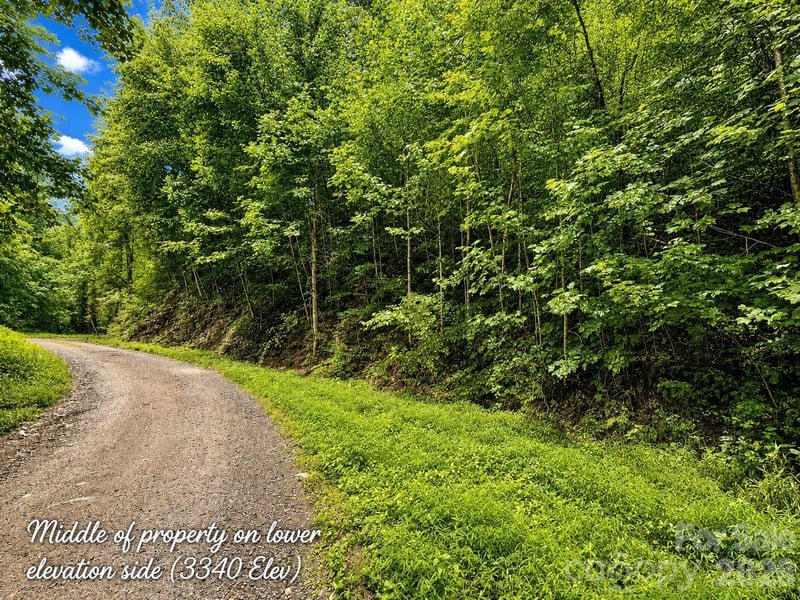 1000 Yonah Trl #7, Waynesville, NC 28785