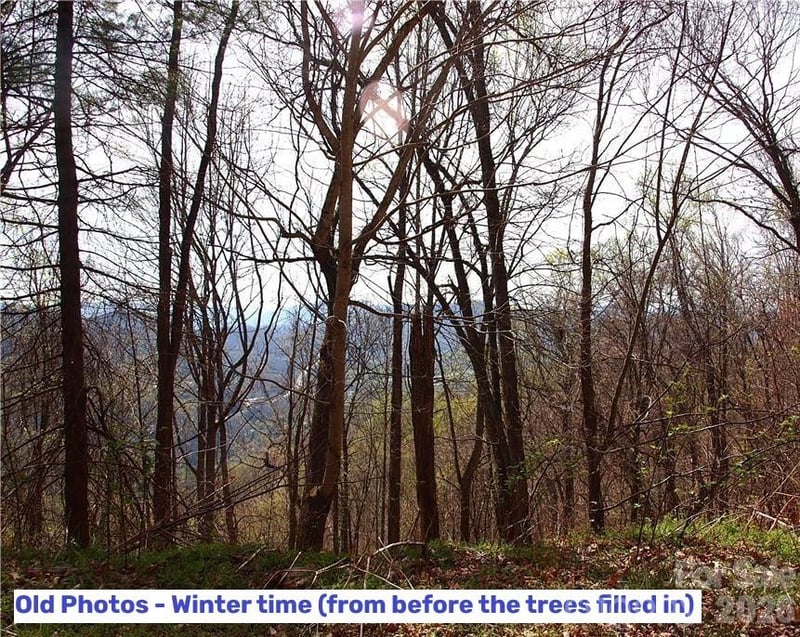 1000 Yonah Trl #7, Waynesville, NC 28785