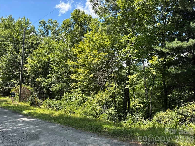 Quails Run Blvd, Lake Lure, NC 28746