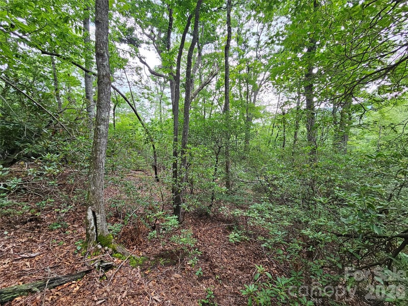 98 Down To Earth Dr #98, Burnsville, NC 28714