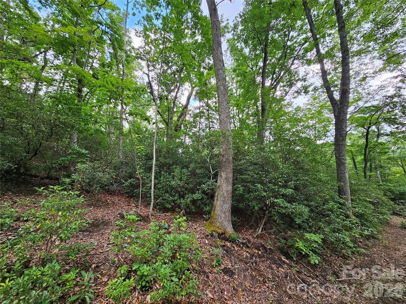 98 Down To Earth Dr #98, Burnsville, NC 28714