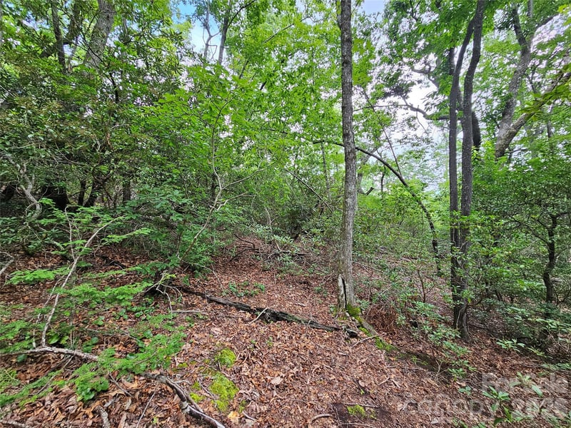 98 Down To Earth Dr #98, Burnsville, NC 28714