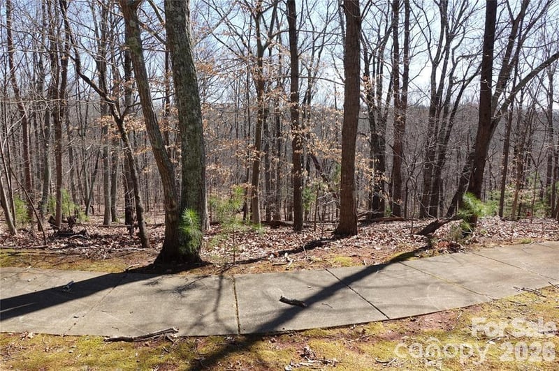 14427 Roe Buck Meadow Ln, Charlotte, NC 28278