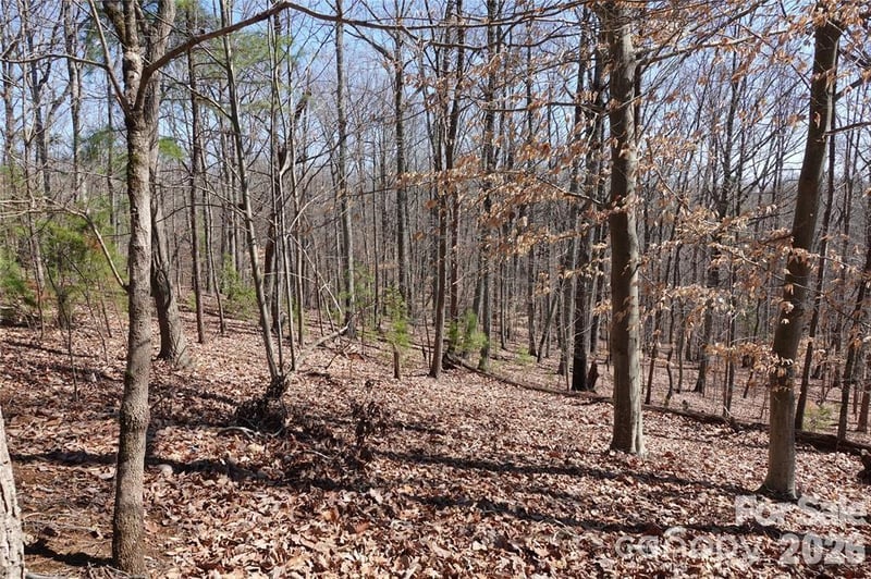 14427 Roe Buck Meadow Ln, Charlotte, NC 28278