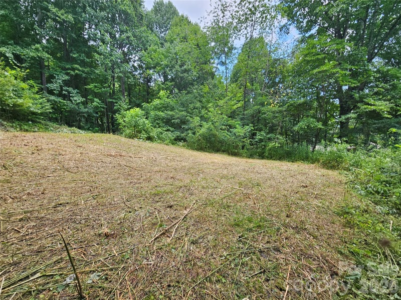 638 Crystal Tree Dr, Waynesville, NC 28785