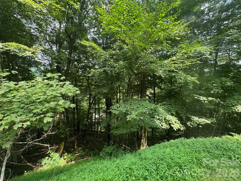 84 Goldenleaf Rd, Mars Hill, NC 28754