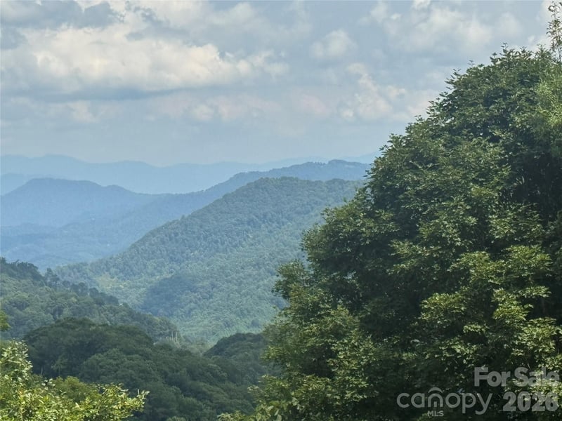 84 Goldenleaf Rd, Mars Hill, NC 28754