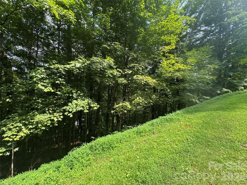 84 Goldenleaf Rd, Mars Hill, NC 28754