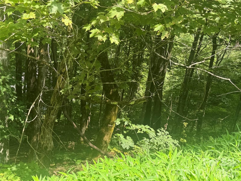 84 Goldenleaf Rd, Mars Hill, NC 28754