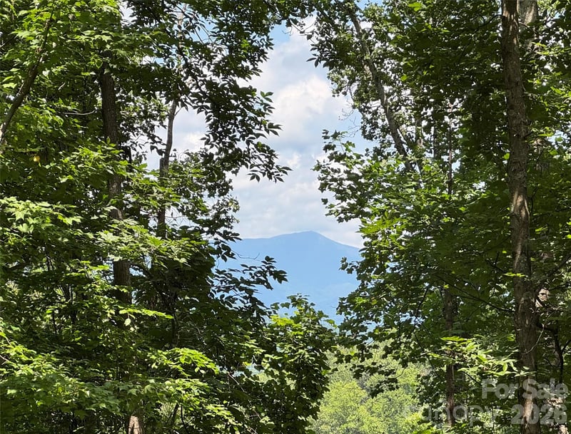 97 High Hickory Trl #2, Swannanoa, NC 28778