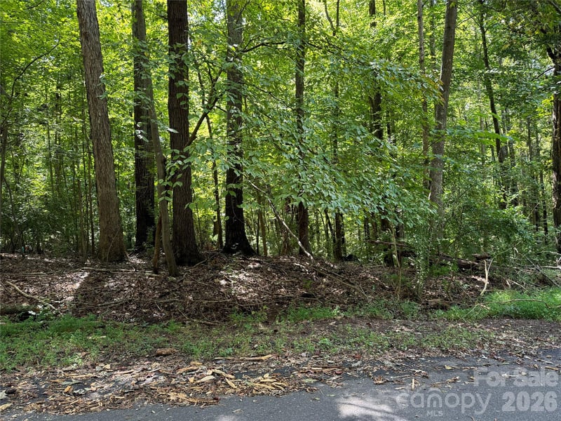 .99 acres Hwy 321 ByPass, York, SC 29745