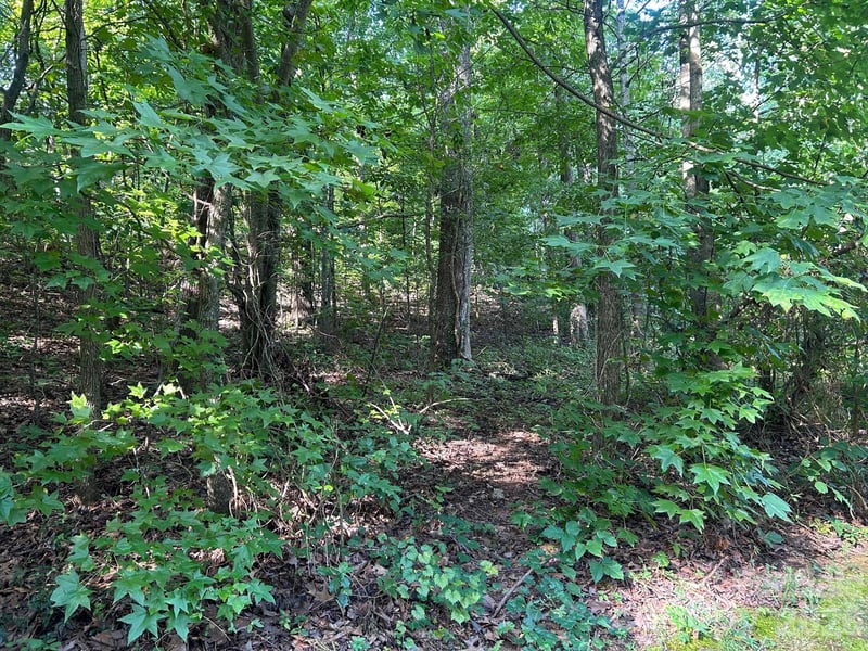 9730 Worley Dr #9, Charlotte, NC 28215