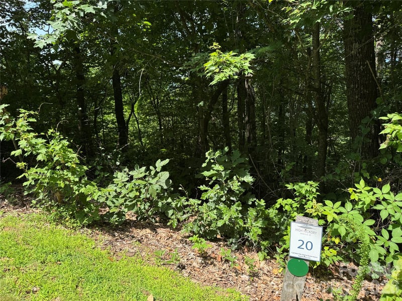 352 High Hickory Trl #20, Swannanoa, NC 28778