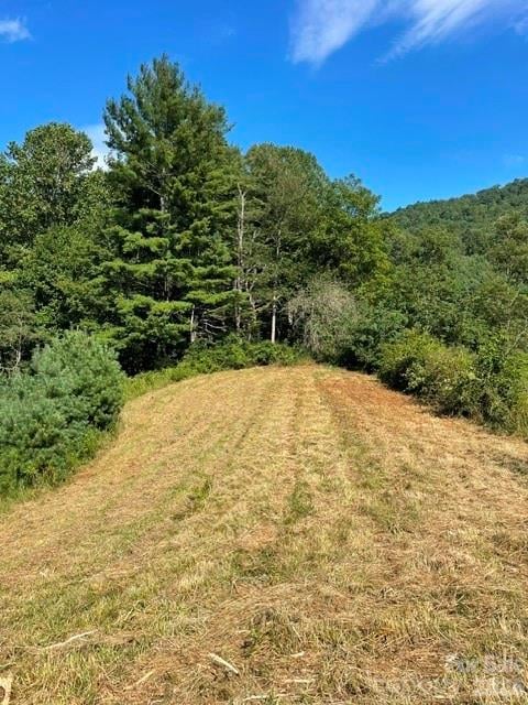 105 Roberts Branch Rd, Marshall, NC 28753