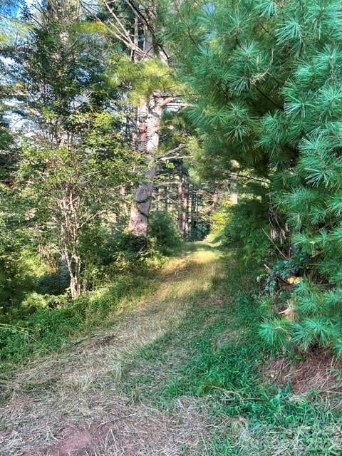 105 Roberts Branch Rd, Marshall, NC 28753