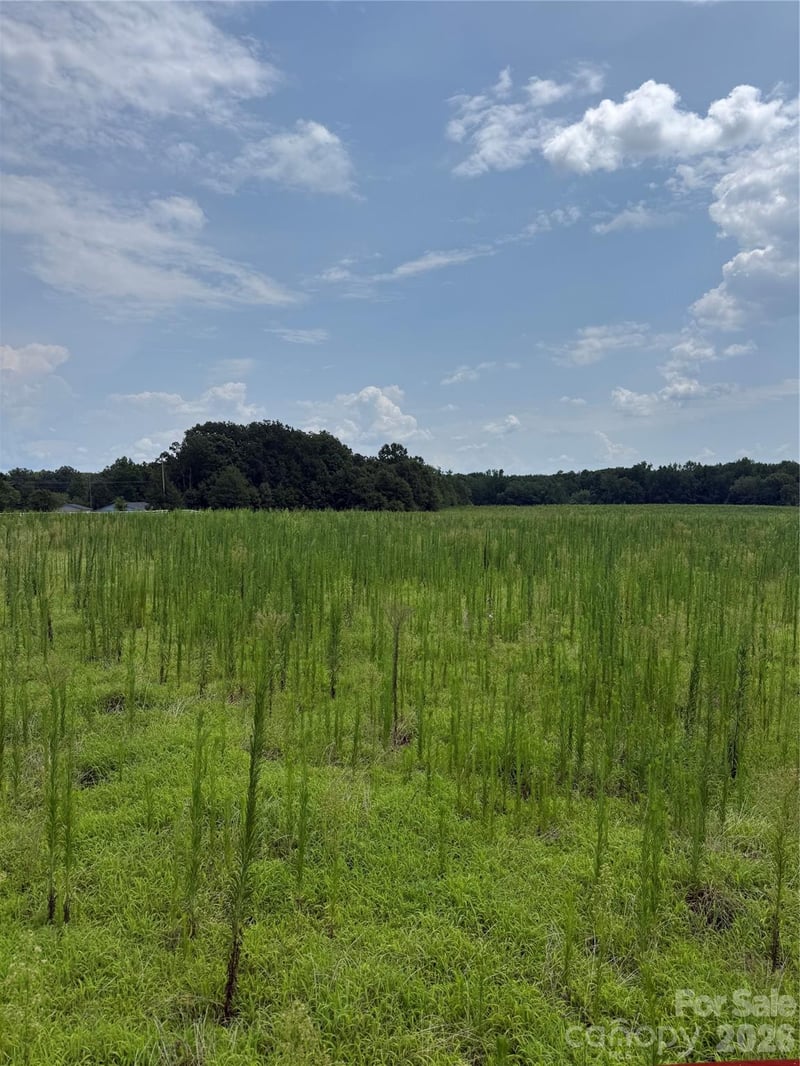 0 Neal Rd LOT 13, Bessemer City, NC 28016