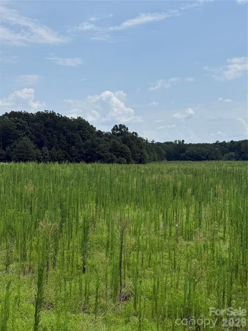 0 Neal Rd LOT 13, Bessemer City, NC 28016
