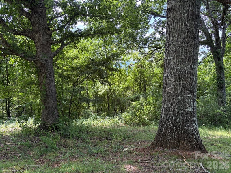 61 Sugar Maple Dr, Black Mountain, NC 28711