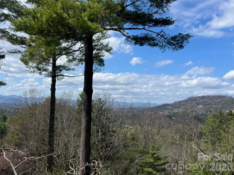 2902-A Timber Trl, Asheville, NC 28804