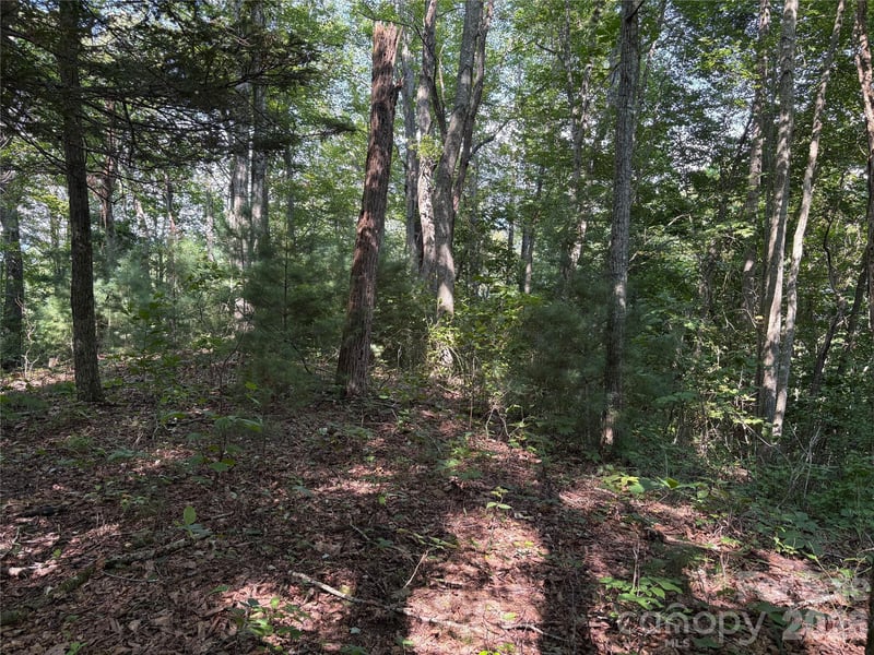 00 Early Frost Pl #98, Waynesville, NC 28785