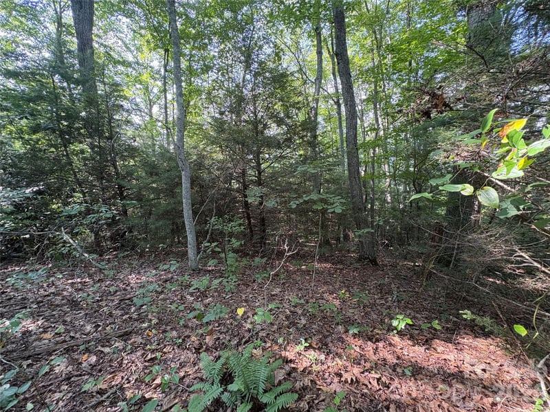 00 Early Frost Pl #98, Waynesville, NC 28785