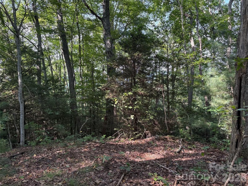 00 Early Frost Pl #98, Waynesville, NC 28785