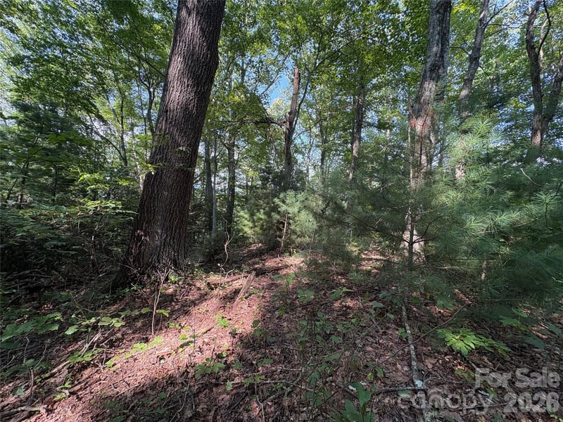 00 Early Frost Pl #98, Waynesville, NC 28785