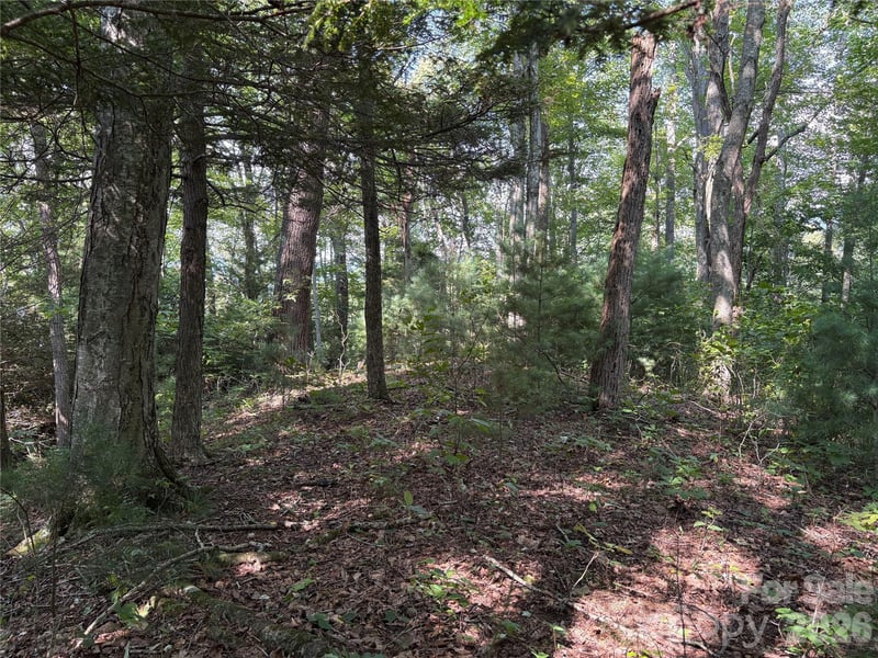 00 Early Frost Pl #98, Waynesville, NC 28785