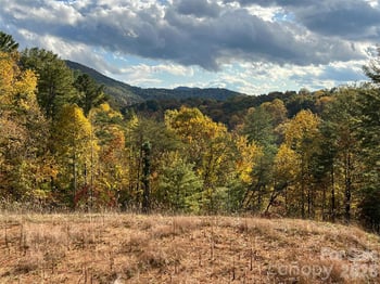 165 Riverbend Forest Dr #11, Asheville, NC 28805