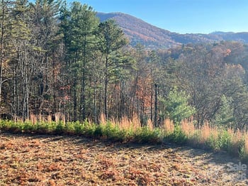 165 Riverbend Forest Dr #11, Asheville, NC 28805