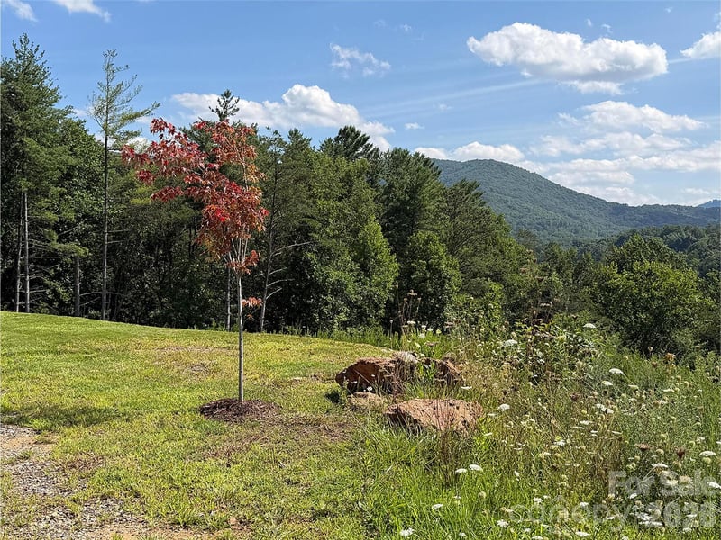 165 Riverbend Forest Dr #11, Asheville, NC 28805