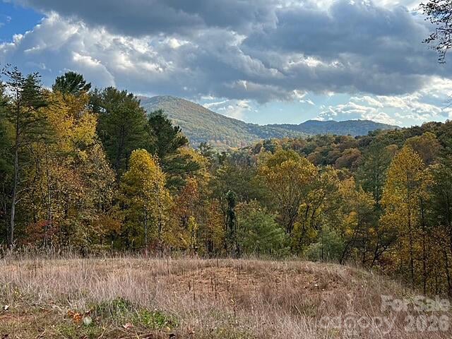 165 Riverbend Forest Dr, Asheville, NC 28805