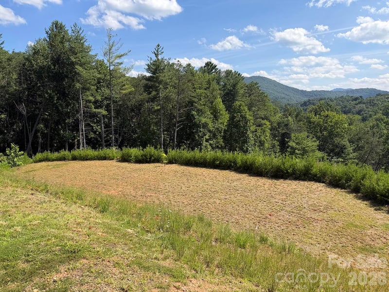 165 Riverbend Forest Dr, Asheville, NC 28805