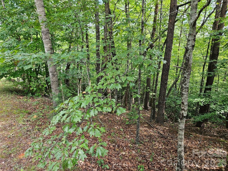 0 Hawks Ter #313, Lake Lure, NC 28746