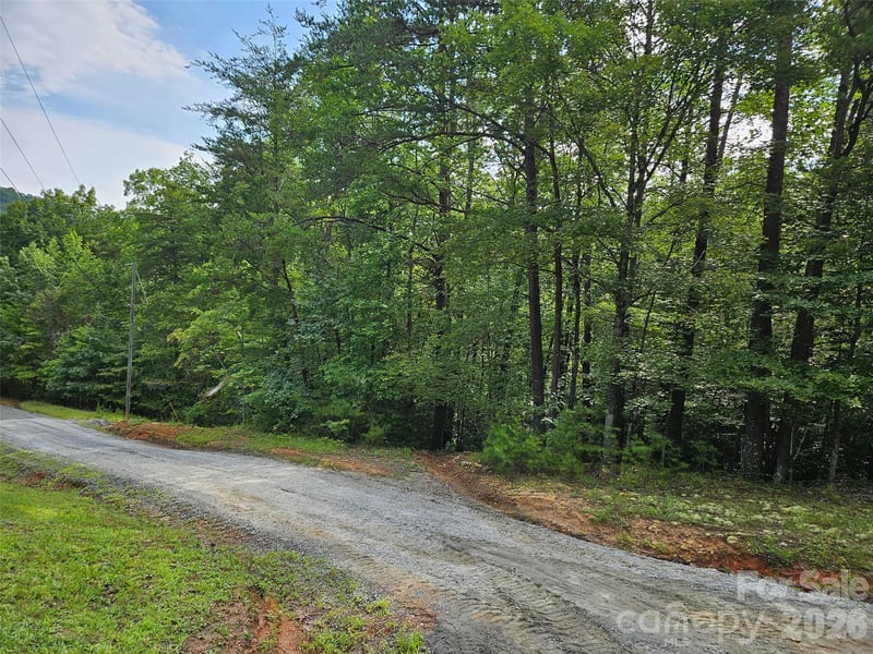 0 Hawks Ter #313, Lake Lure, NC 28746