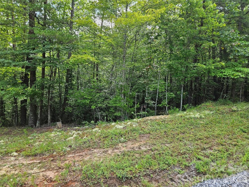 0 Hawks Ter #313, Lake Lure, NC 28746