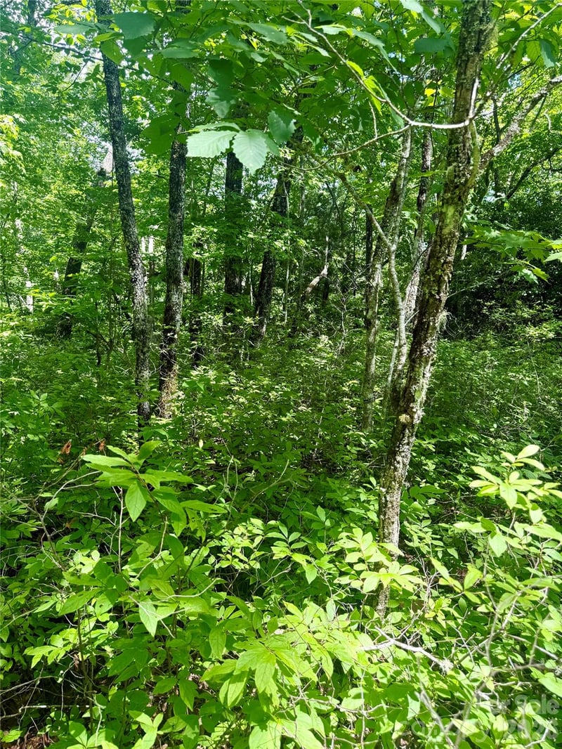 TBD Indian Lake Rd #32, Lake Toxaway, NC 28747