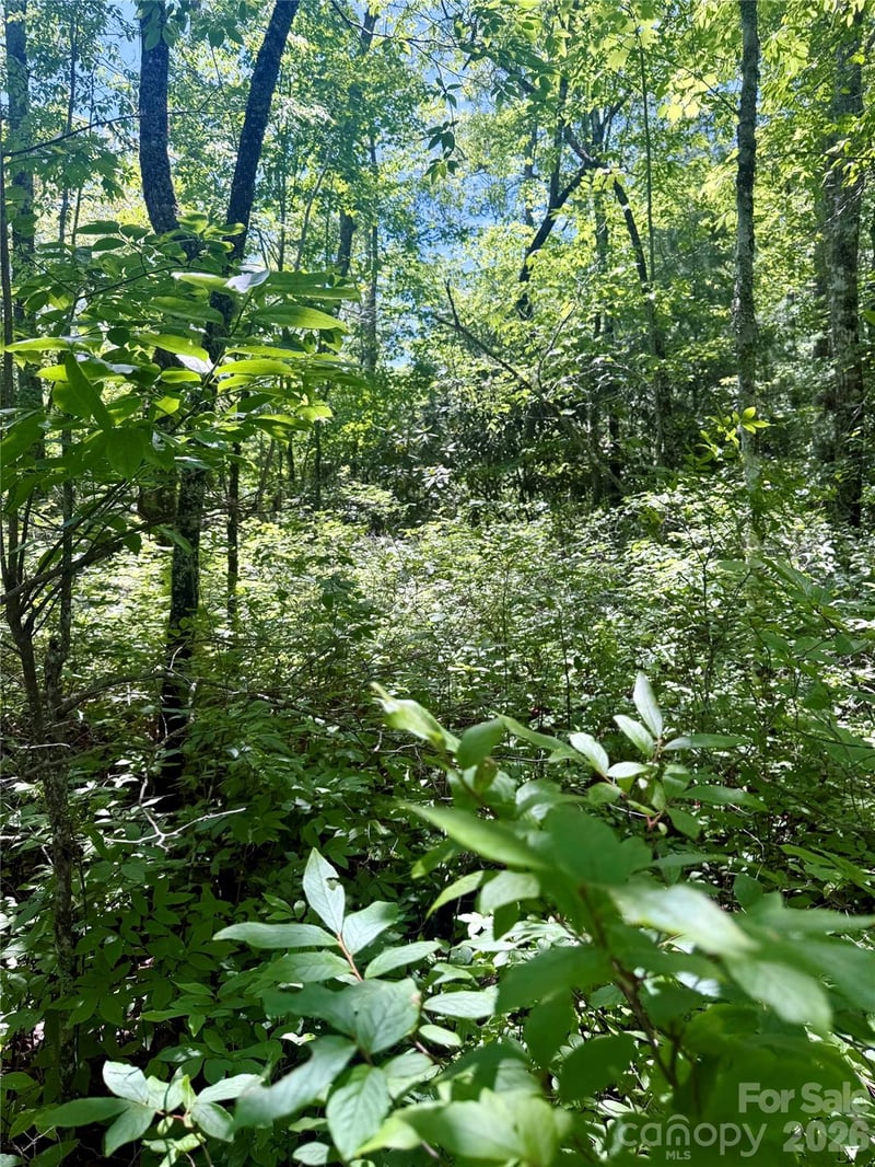 TBD Indian Lake Rd #32, Lake Toxaway, NC 28747
