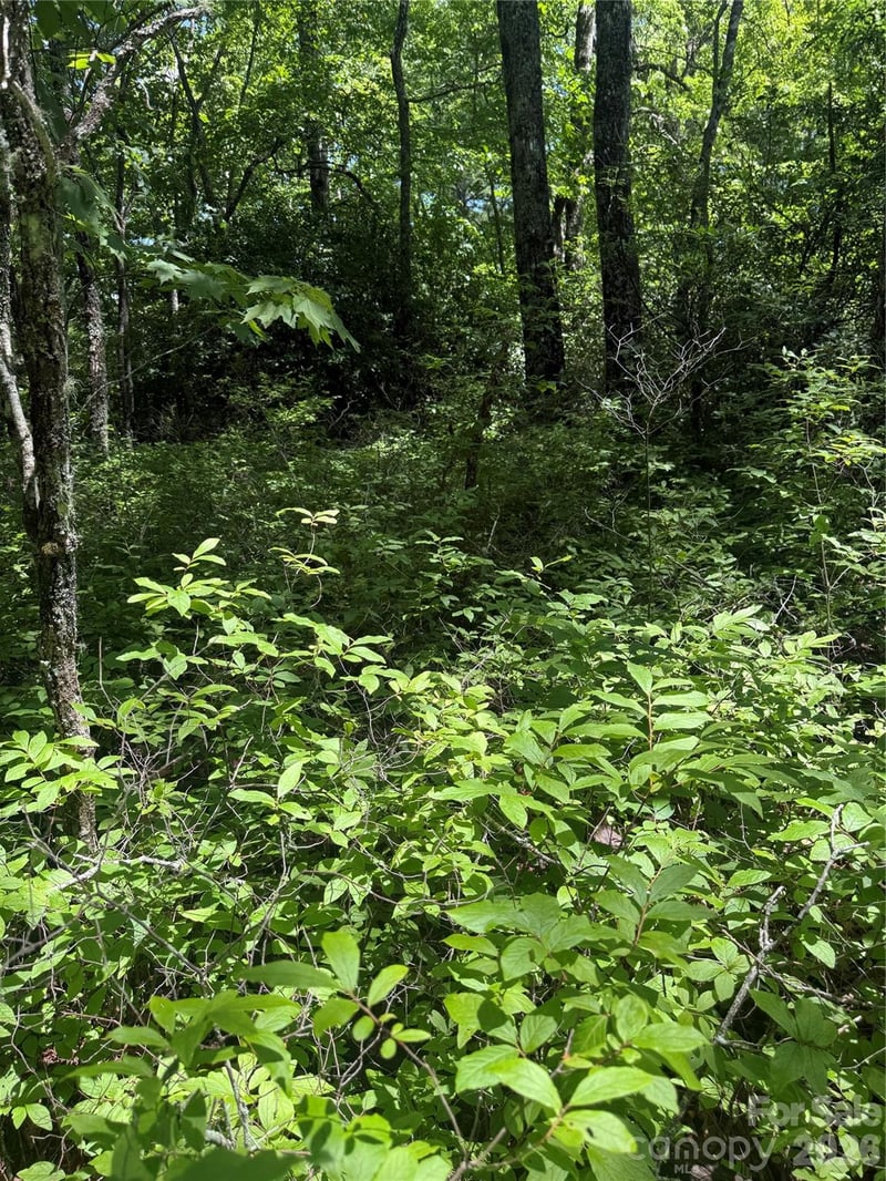 TBD Indian Lake Rd #32, Lake Toxaway, NC 28747
