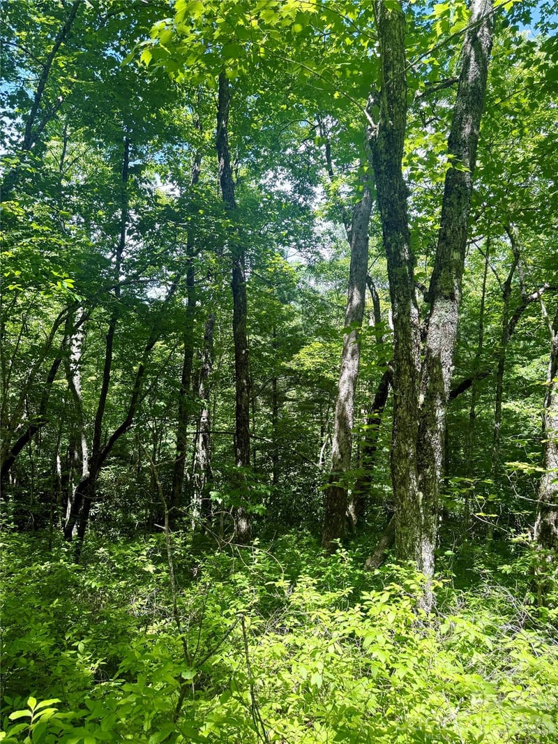 TBD Indian Lake Rd #32, Lake Toxaway, NC 28747