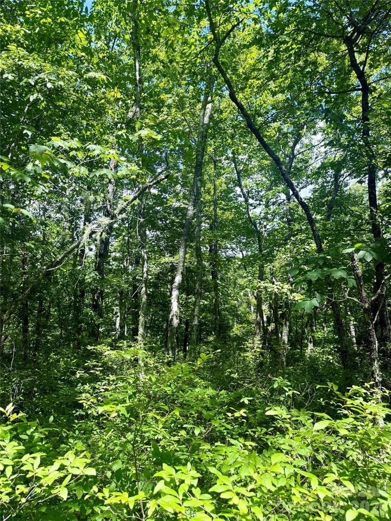 TBD Indian Lake Rd #32, Lake Toxaway, NC 28747