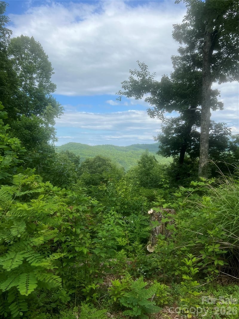 0 High Peak Rd, Hendersonville, NC 28792