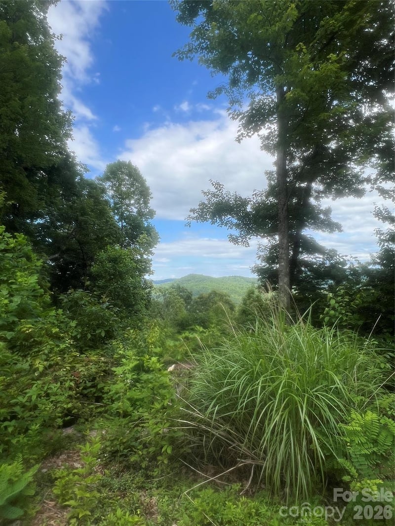 0 High Peak Rd, Hendersonville, NC 28792