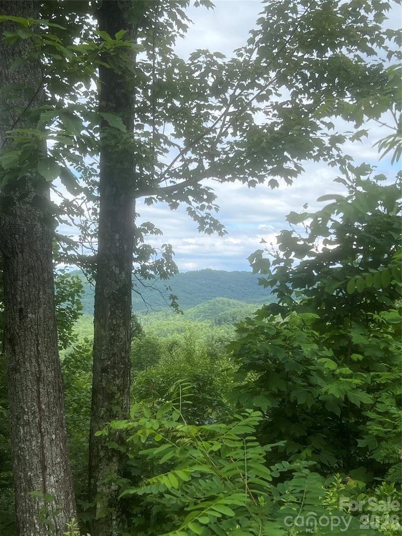 0 High Peak Rd, Hendersonville, NC 28792