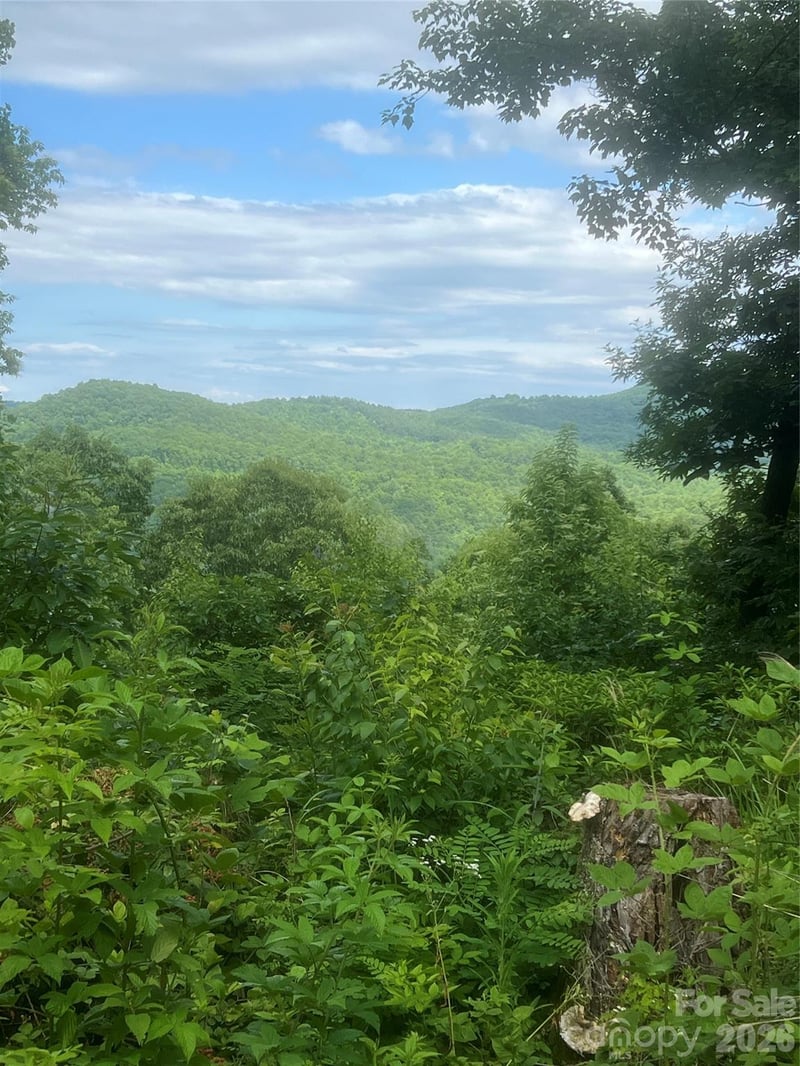 0 High Peak Rd, Hendersonville, NC 28792